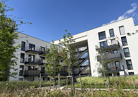 Dennis Schuh/projektbau GMBH